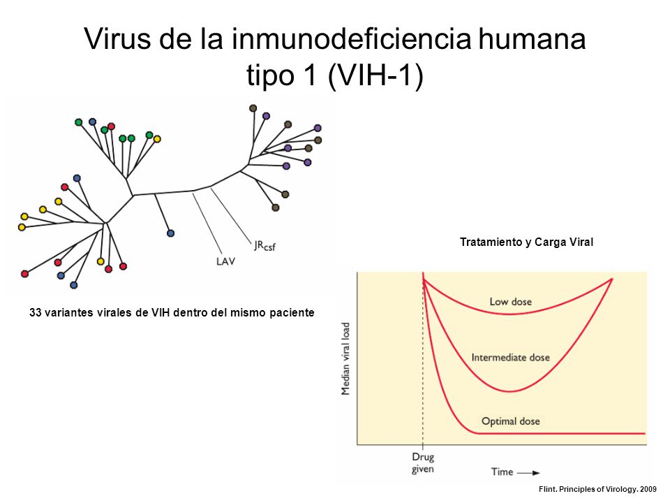 Virus de la inmunodeficiencia humana tipo 1 (VIH-1)