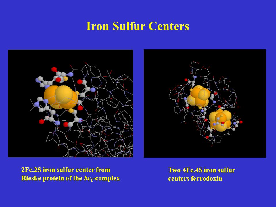 Iron Sulfur Centers 2Fe.2S iron sulfur center from Rieske protein of the bc1-complex.