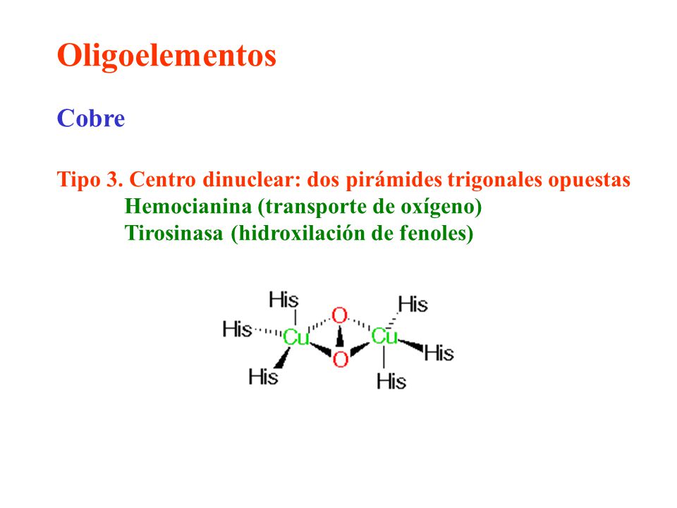 Oligoelementos Cobre. Tipo 3. Centro dinuclear: dos pirámides trigonales opuestas. Hemocianina (transporte de oxígeno)