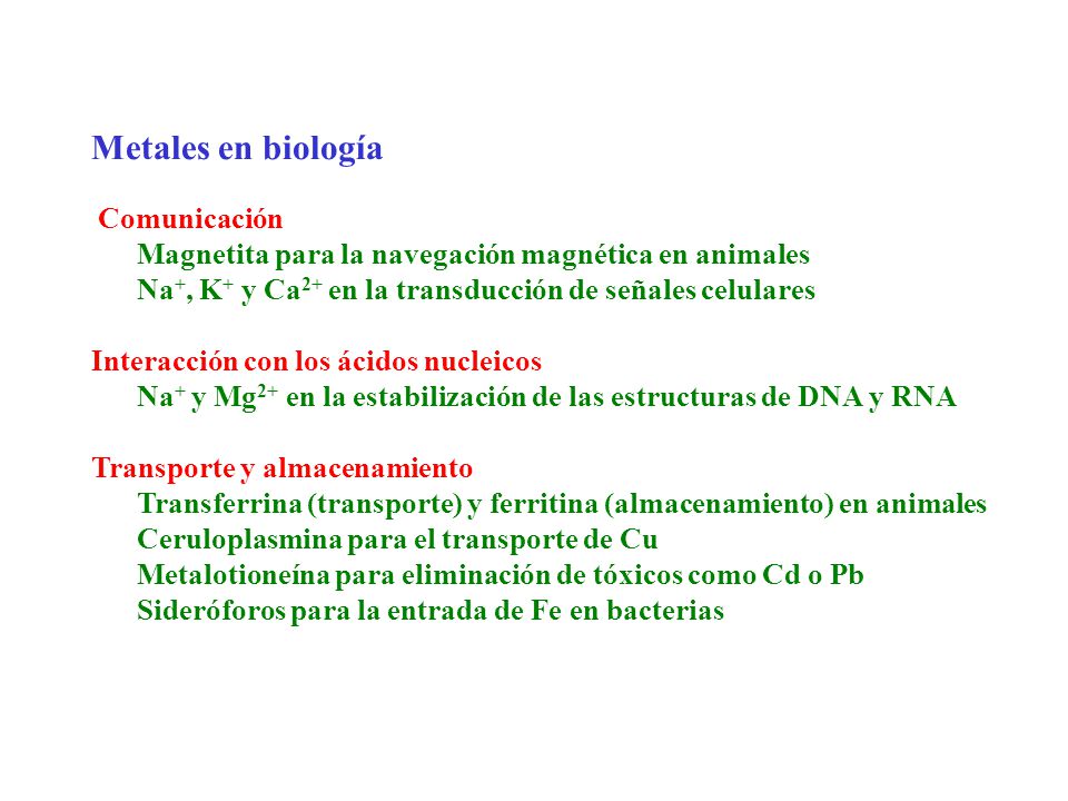 Metales en biología Magnetita para la navegación magnética en animales