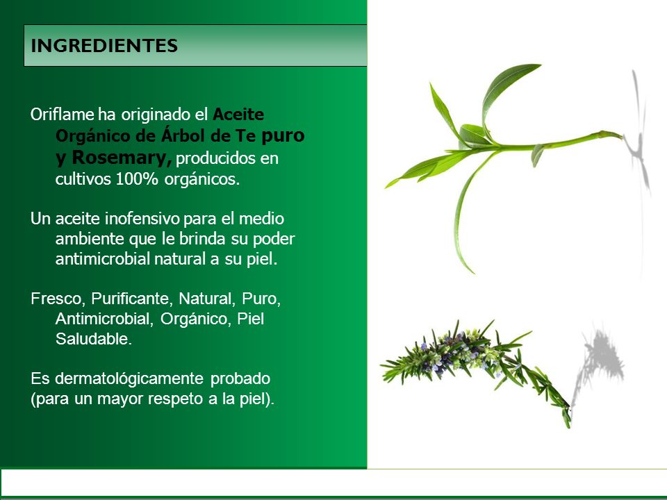 INGREDIENTES Oriflame ha originado el Aceite Orgánico de Árbol de Te puro y Rosemary, producidos en cultivos 100% orgánicos.