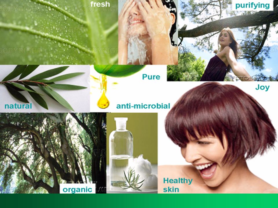 En general el Aceite de Tea Tree se considera un potente y poderoso ingrediente gracias a sus características principales: