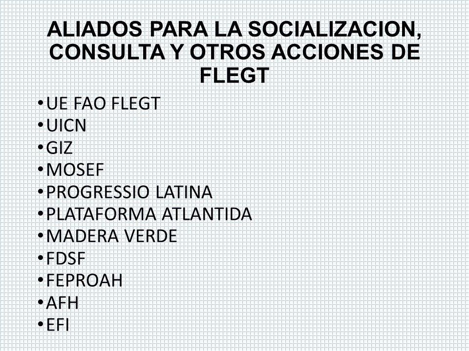 ALIADOS PARA LA SOCIALIZACION, CONSULTA Y OTROS ACCIONES DE FLEGT