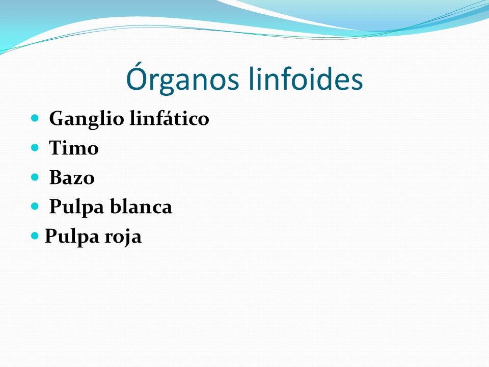 Órganos linfoides Ganglio linfático Timo Bazo Pulpa blanca Pulpa roja
