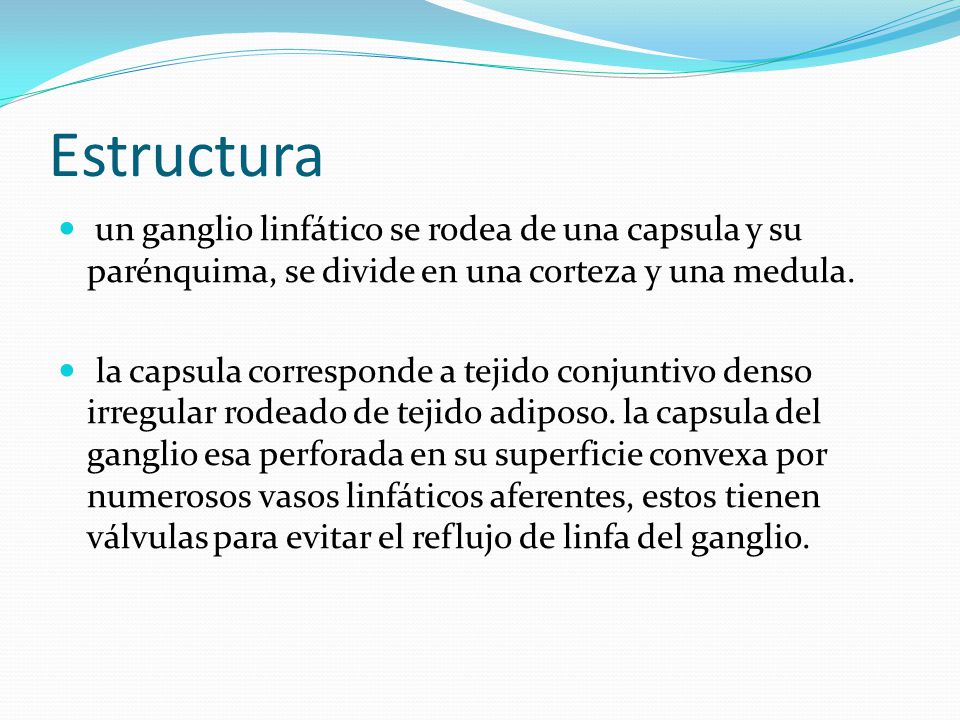 Estructura un ganglio linfático se rodea de una capsula y su parénquima, se divide en una corteza y una medula.