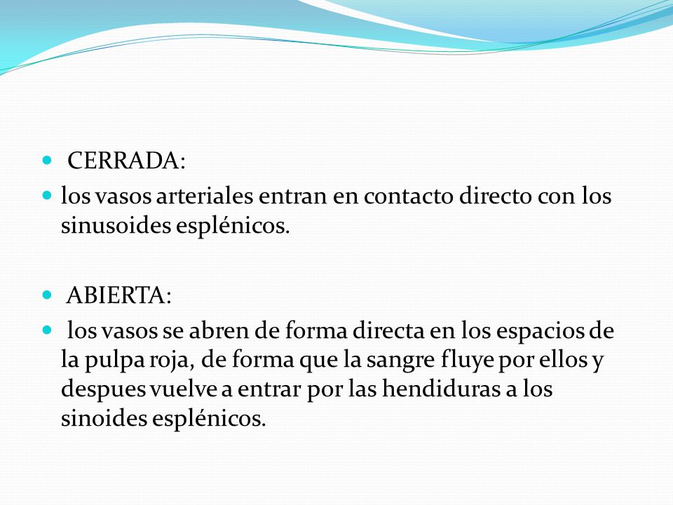 CERRADA: los vasos arteriales entran en contacto directo con los sinusoides esplénicos. ABIERTA: