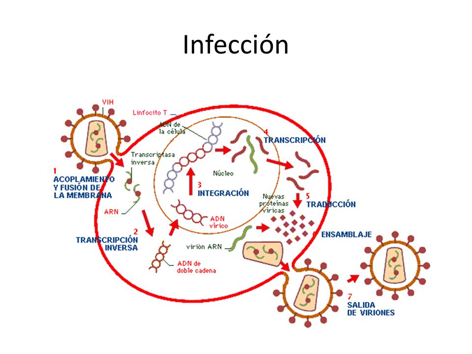 Infección