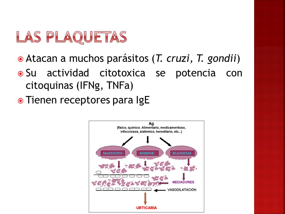 Las plaquetas Atacan a muchos parásitos (T. cruzi, T. gondii)