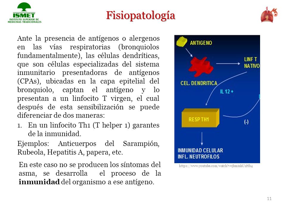 Fisiopatología