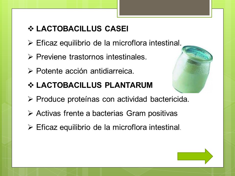 LACTOBACILLUS CASEI Eficaz equilibrio de la microflora intestinal. Previene trastornos intestinales.