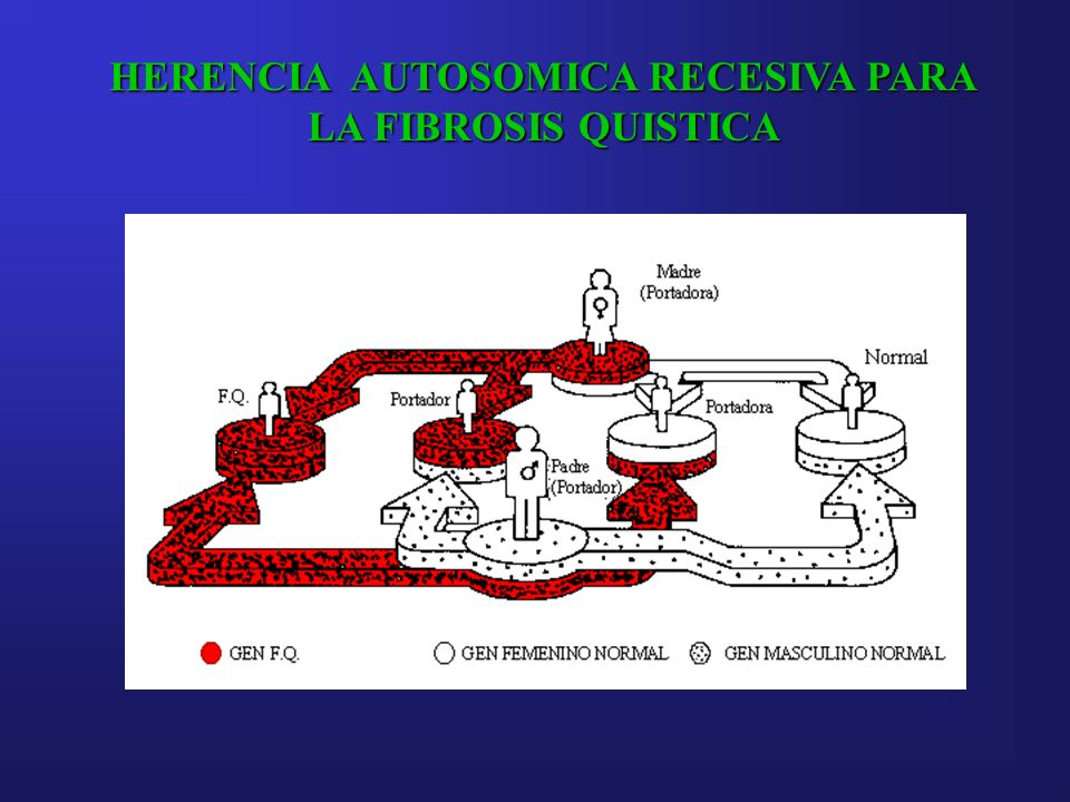 HERENCIA AUTOSOMICA RECESIVA PARA