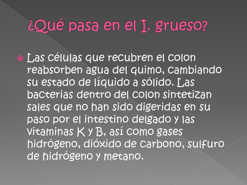 ¿Qué pasa en el I. grueso