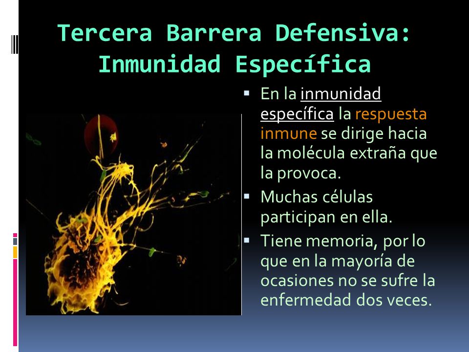 Tercera Barrera Defensiva: Inmunidad Específica
