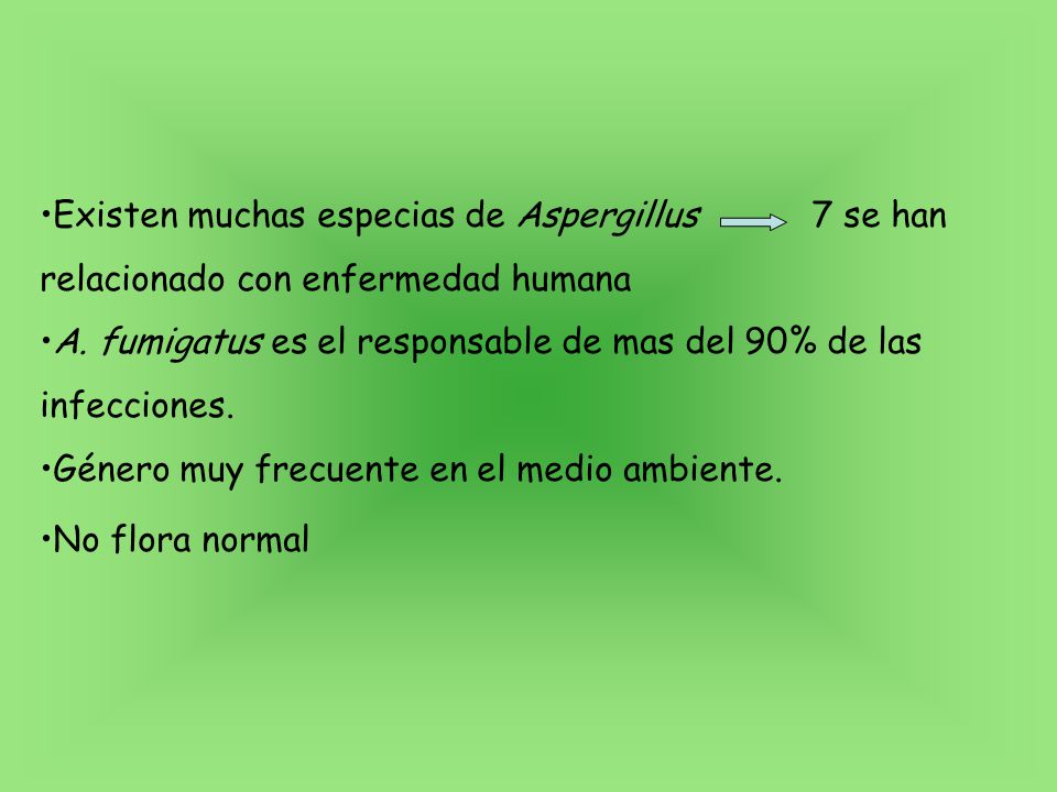 Existen muchas especias de Aspergillus 7 se han relacionado con enfermedad humana