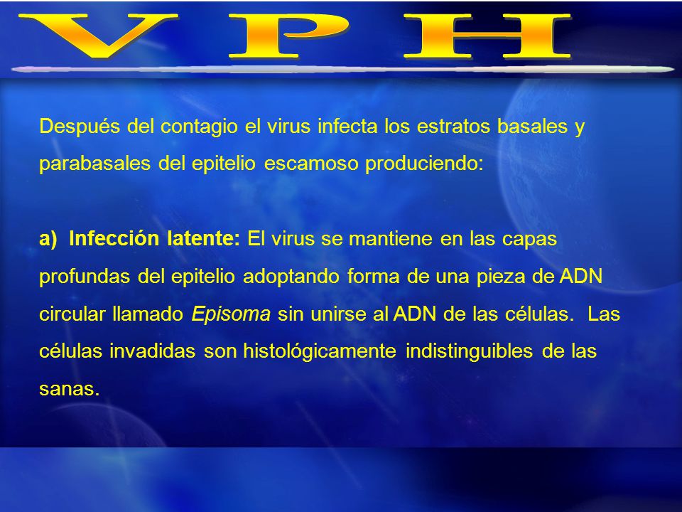VPH Después del contagio el virus infecta los estratos basales y parabasales del epitelio escamoso produciendo: