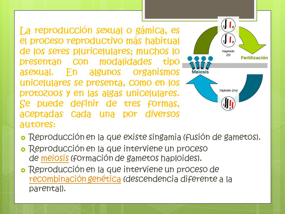 La reproducción sexual o gámica, es el proceso reproductivo más habitual de los seres pluricelulares; muchos lo presentan con modalidades tipo asexual. En algunos organismos unicelulares se presenta, como en los protozoos y en las algas unicelulares. Se puede definir de tres formas, aceptadas cada una por diversos autores: