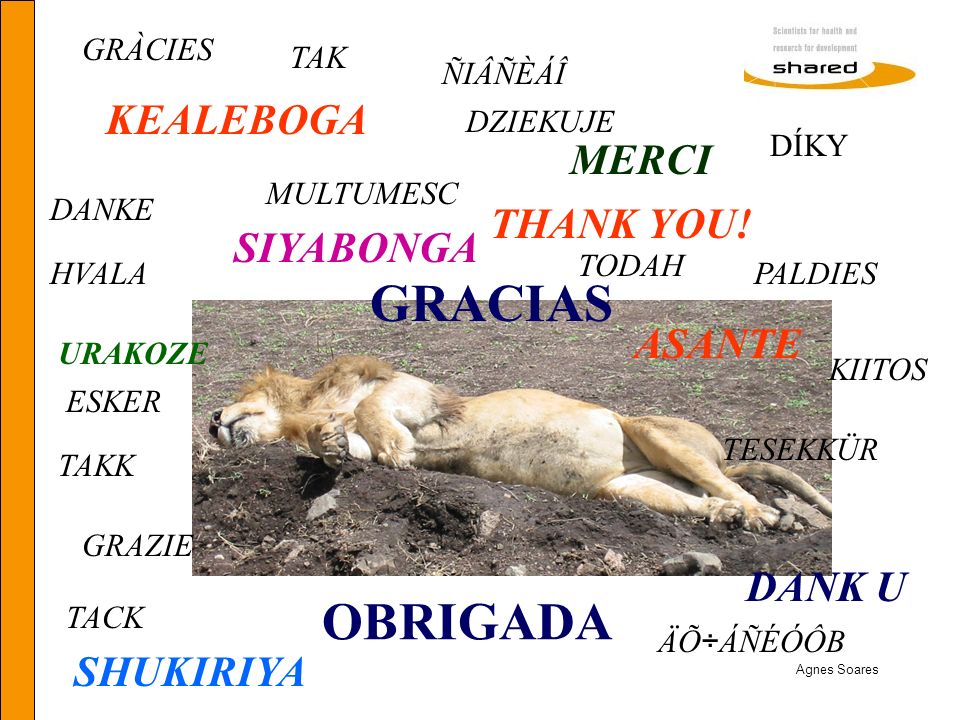 GRACIAS OBRIGADA KEALEBOGA MERCI THANK YOU! SIYABONGA ASANTE DANK U