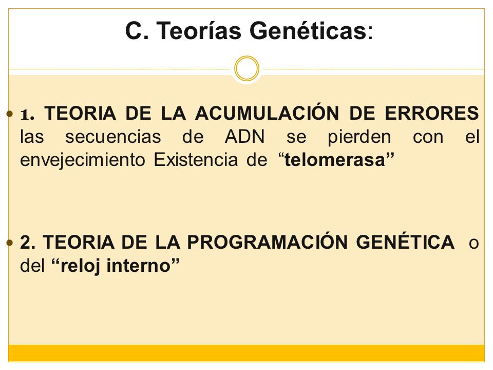 C. Teorías Genéticas: 1. TEORIA DE LA ACUMULACIÓN DE ERRORES las secuencias de ADN se pierden con el envejecimiento Existencia de telomerasa