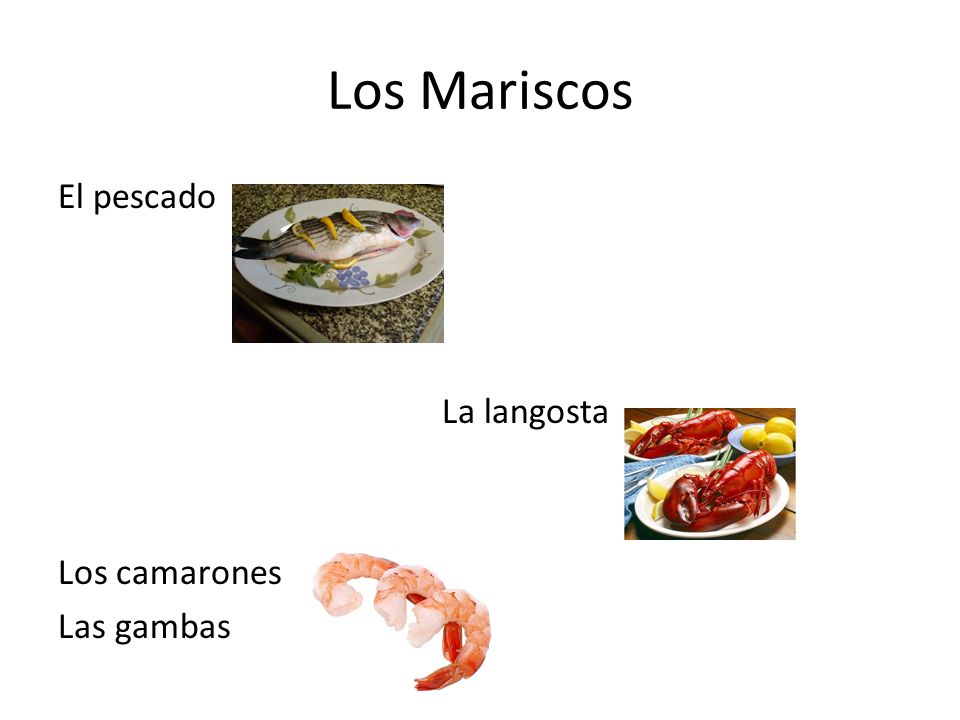 Los Mariscos El pescado La langosta Los camarones Las gambas