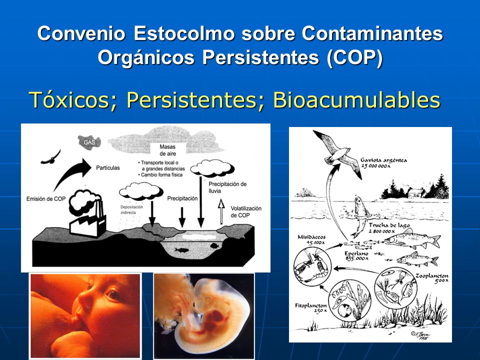 Convenio Estocolmo sobre Contaminantes Orgánicos Persistentes (COP)