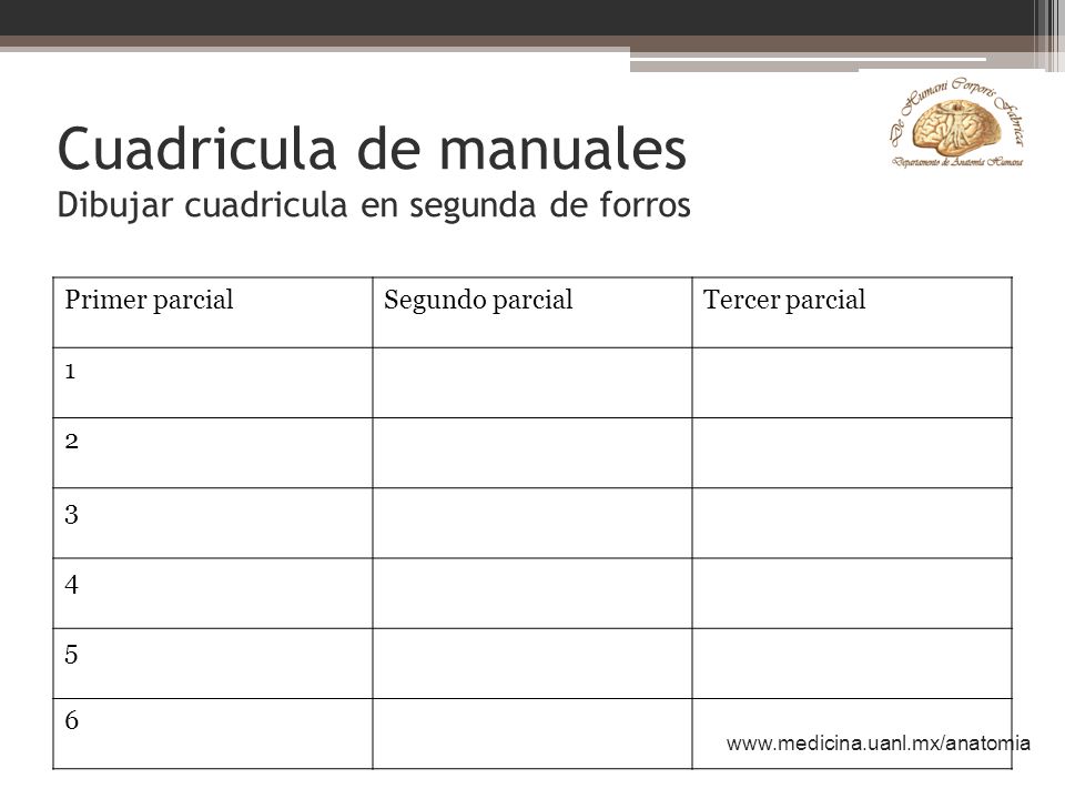Cuadricula de manuales Dibujar cuadricula en segunda de forros