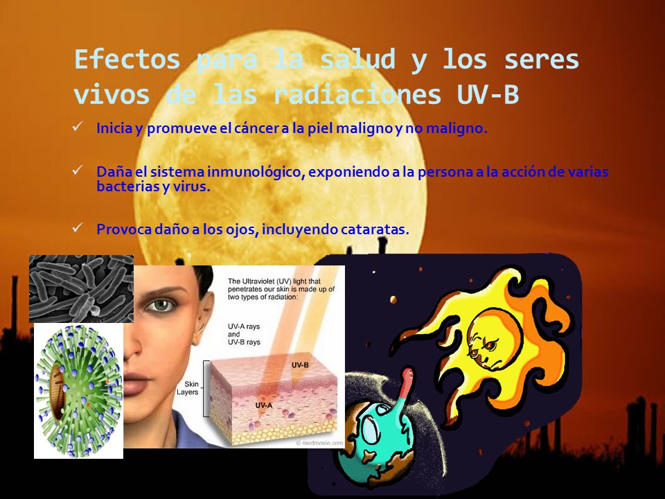 Efectos para la salud y los seres vivos de las radiaciones UV-B
