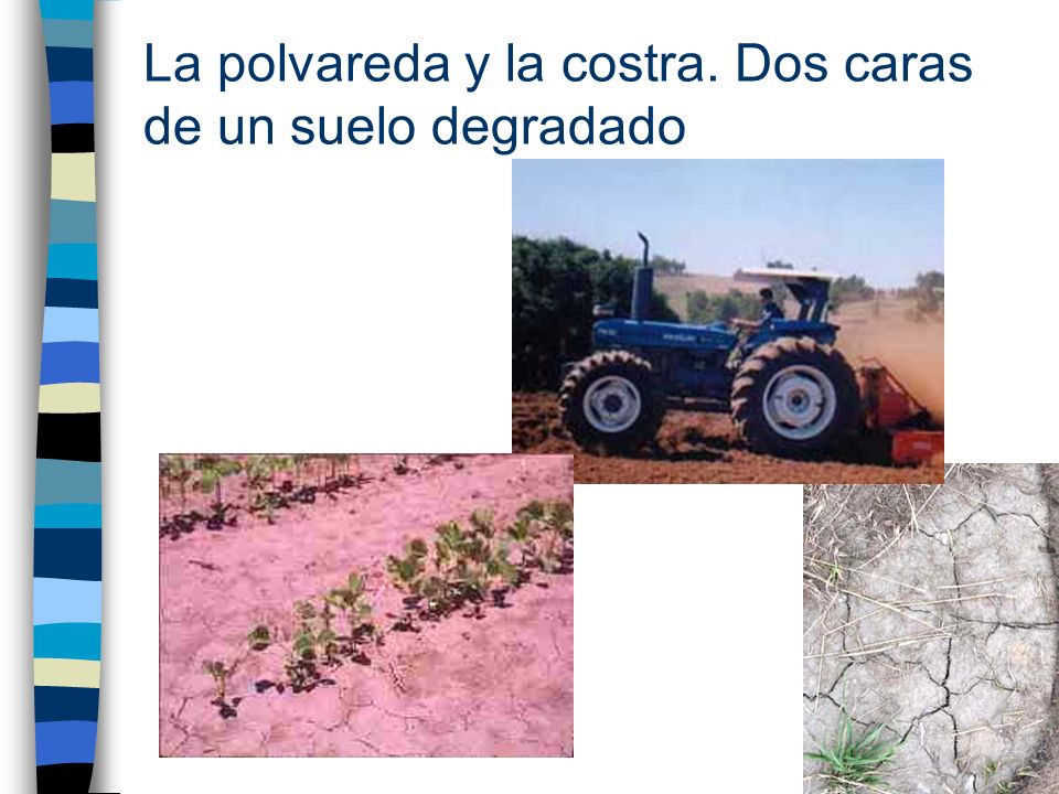 La polvareda y la costra. Dos caras de un suelo degradado