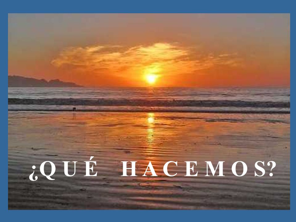 ¿Q U É H A C E M O S