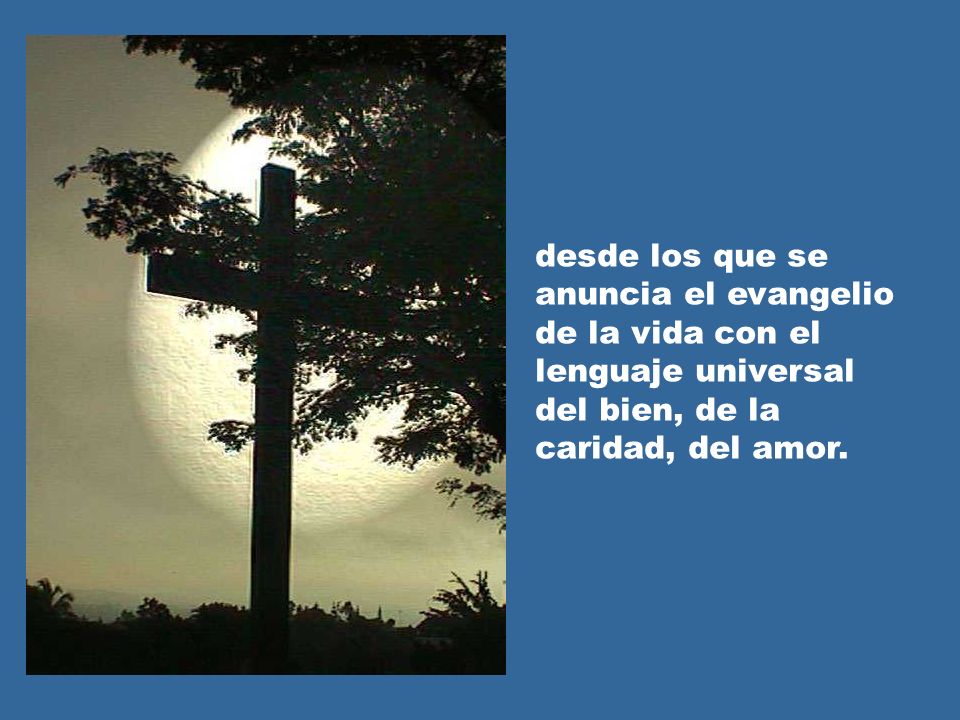 desde los que se anuncia el evangelio de la vida con el lenguaje universal del bien, de la caridad, del amor.