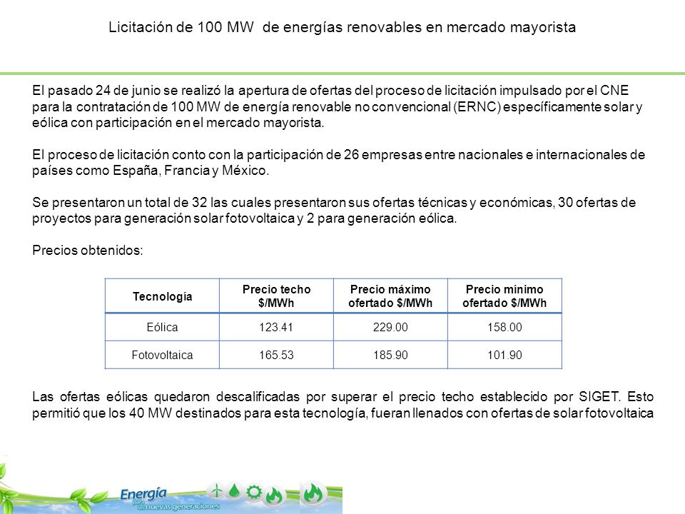 Licitación de 100 MW de energías renovables en mercado mayorista