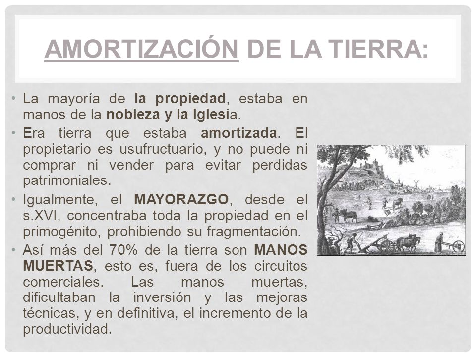 AMORTIZACIÓN DE LA TIERRA: