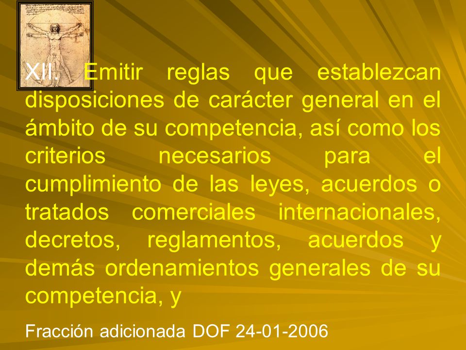 XII. Emitir reglas que establezcan disposiciones de carácter general en el ámbito de su competencia, así como los criterios necesarios para el cumplimiento de las leyes, acuerdos o tratados comerciales internacionales, decretos, reglamentos, acuerdos y demás ordenamientos generales de su competencia, y