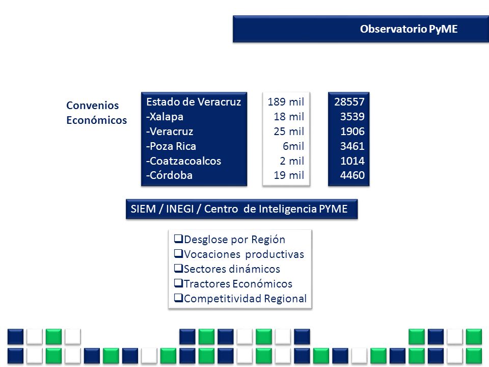 Observatorio PyME Estado de Veracruz. -Xalapa. -Veracruz. -Poza Rica. -Coatzacoalcos. -Córdoba.