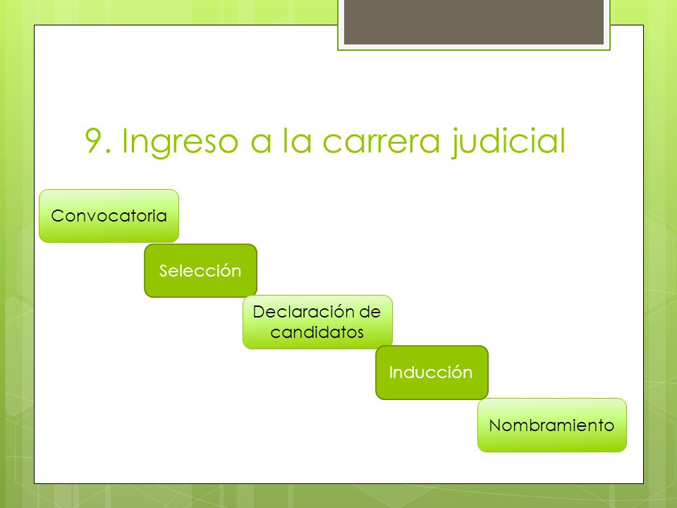 LA CARRERA JUDICIAL. - ppt video online descargar