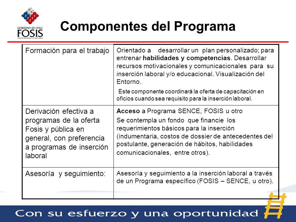 Componentes del Programa