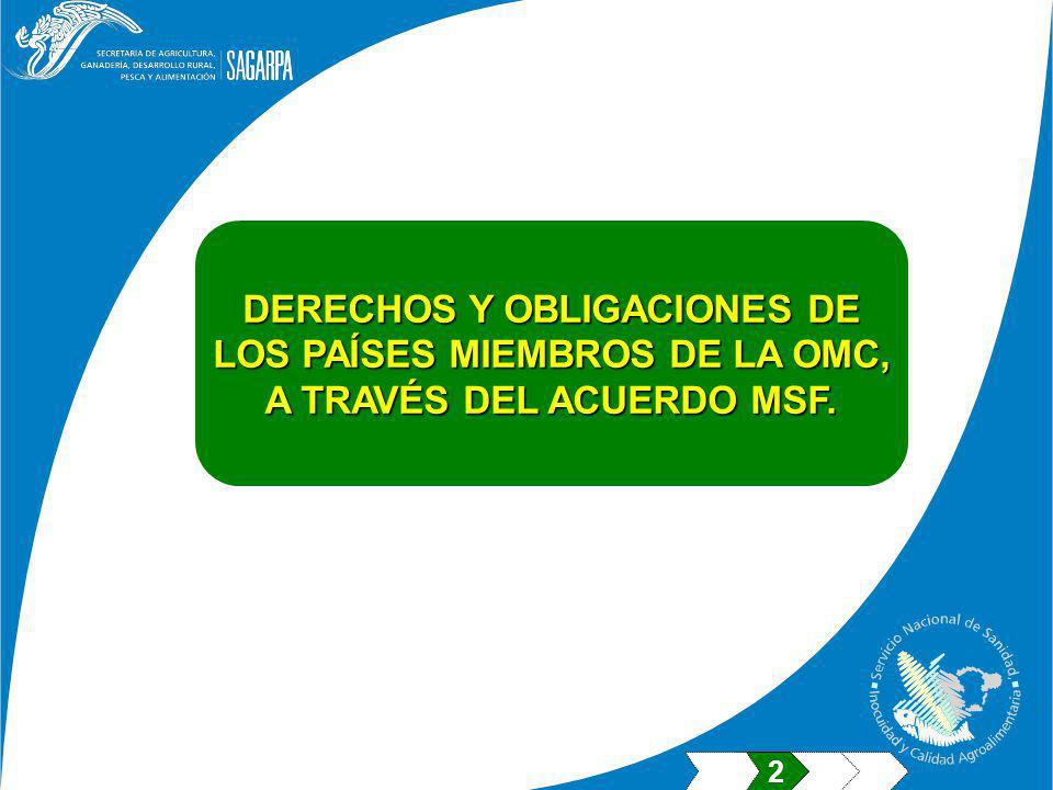 DERECHOS Y OBLIGACIONES DE LOS PAÍSES MIEMBROS DE LA OMC,