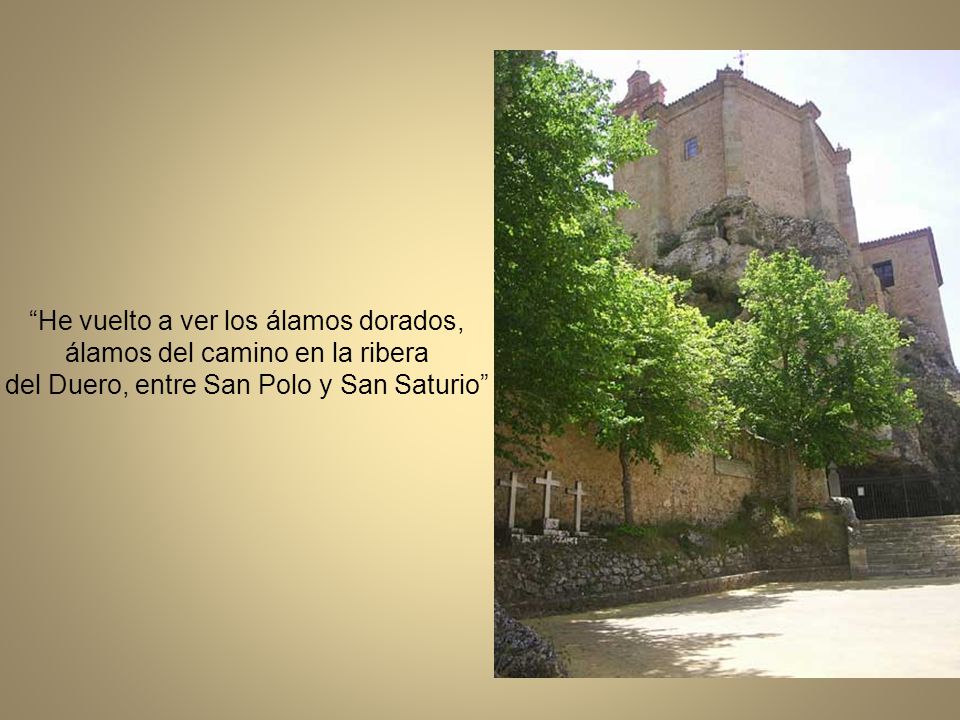 He vuelto a ver los álamos dorados, álamos del camino en la ribera del Duero, entre San Polo y San Saturio