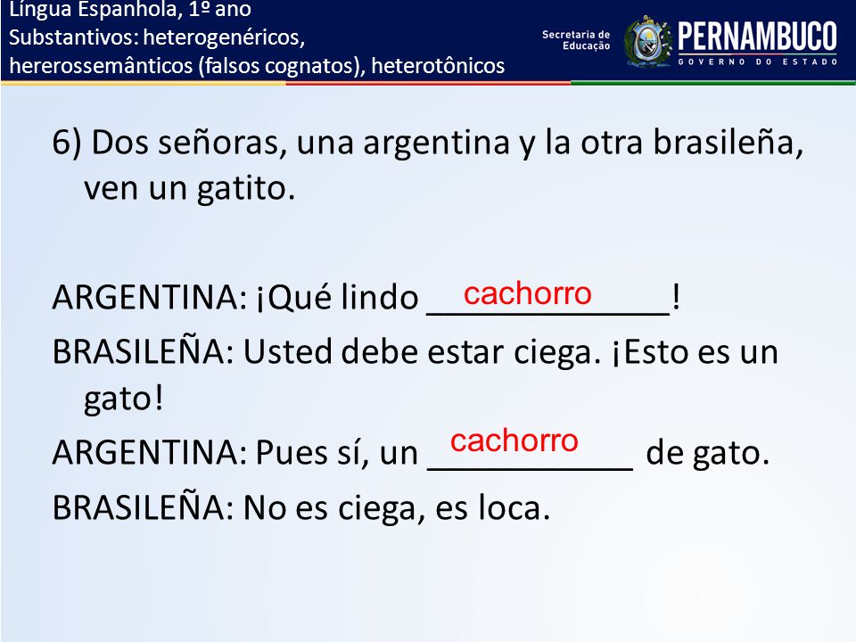6) Dos señoras, una argentina y la otra brasileña, ven un gatito.
