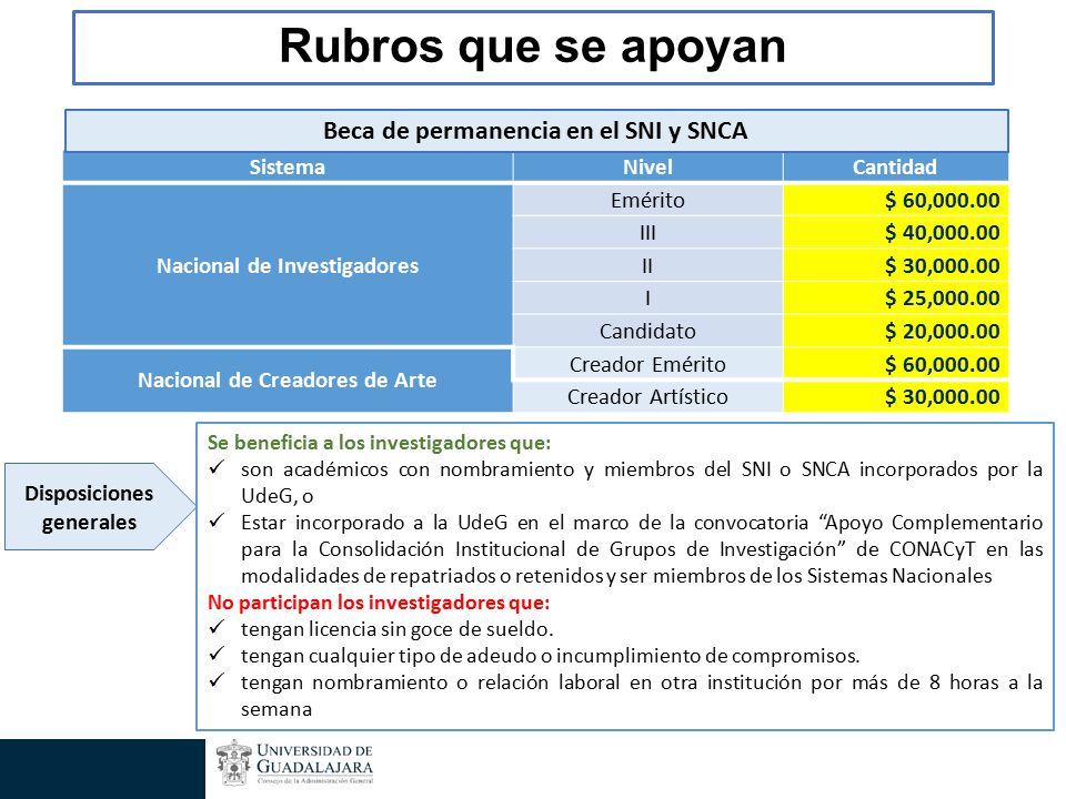 Rubros que se apoyan Beca de permanencia en el SNI y SNCA Sistema