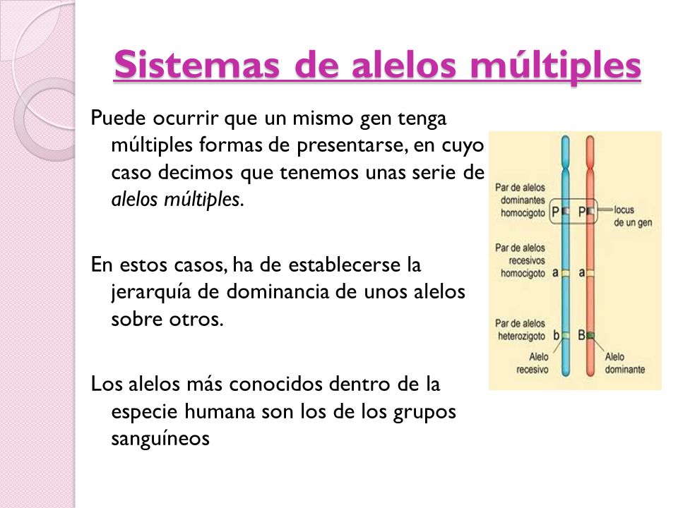 Sistemas de alelos múltiples