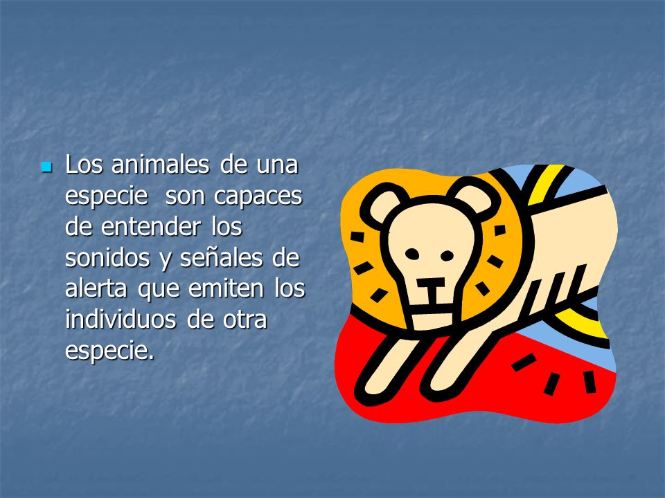 Los animales de una especie son capaces de entender los sonidos y señales de alerta que emiten los individuos de otra especie.