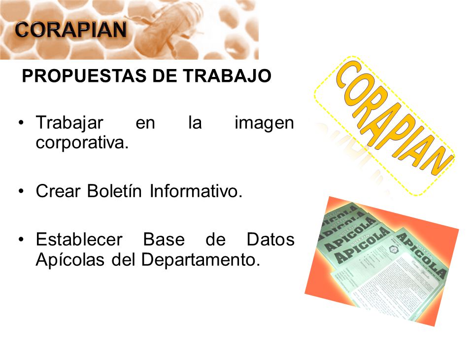 CORAPIAN PROPUESTAS DE TRABAJO Trabajar en la imagen corporativa.