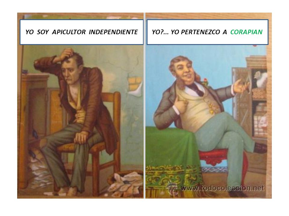 YO SOY APICULTOR INDEPENDIENTE YO ... YO PERTENEZCO A CORAPIAN