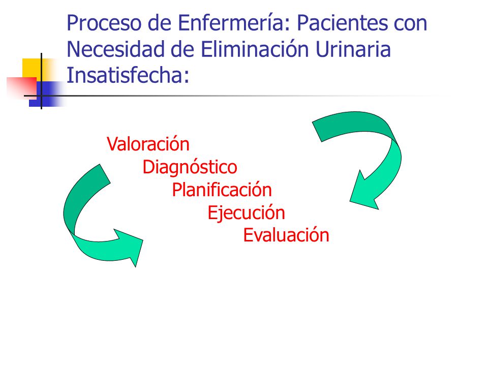 Proceso de Enfermería: Pacientes con Necesidad de Eliminación Urinaria Insatisfecha: