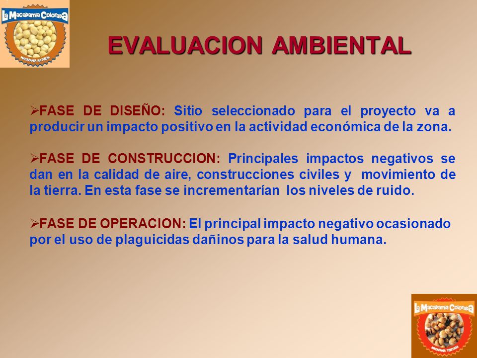 EVALUACION AMBIENTAL FASE DE DISEÑO: Sitio seleccionado para el proyecto va a producir un impacto positivo en la actividad económica de la zona.