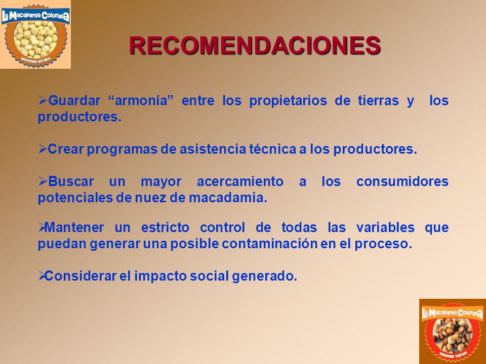 RECOMENDACIONES Guardar armonía entre los propietarios de tierras y los productores. Crear programas de asistencia técnica a los productores.