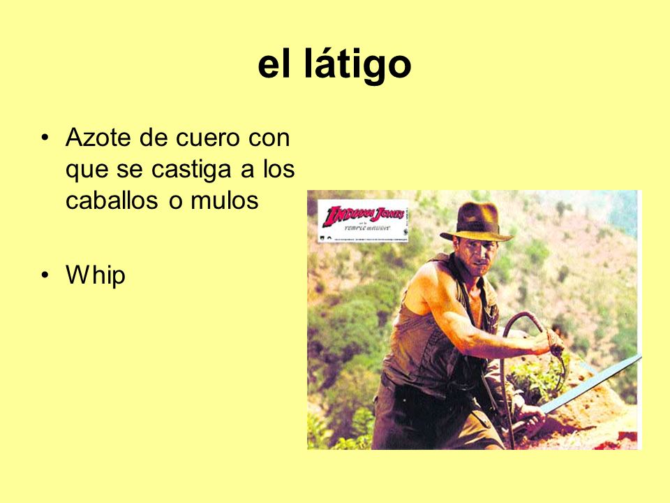 el látigo Azote de cuero con que se castiga a los caballos o mulos