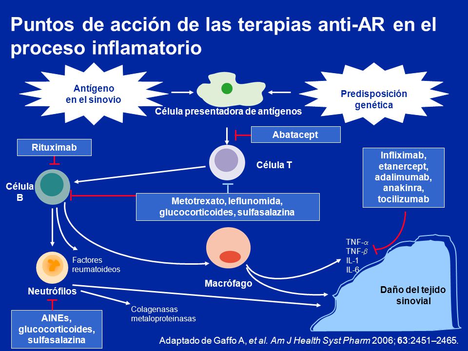 Puntos de acción de las terapias anti-AR en el proceso inflamatorio