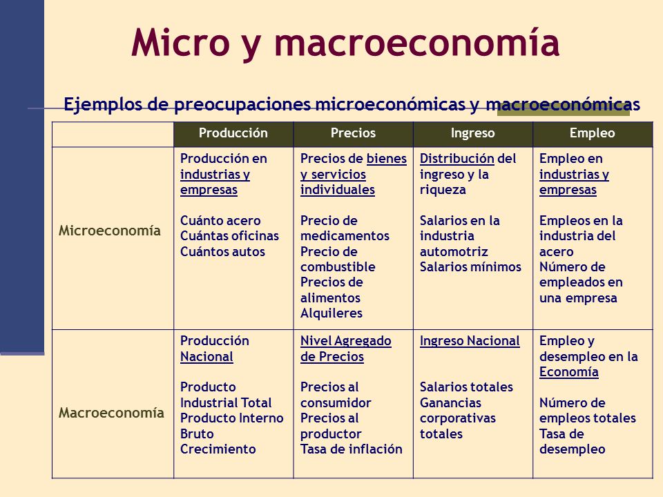 Ejemplos de preocupaciones microeconómicas y macroeconómicas