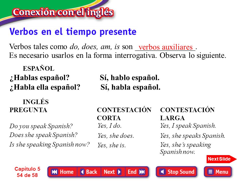 Verbos tales como do, does, am, is son _______________.